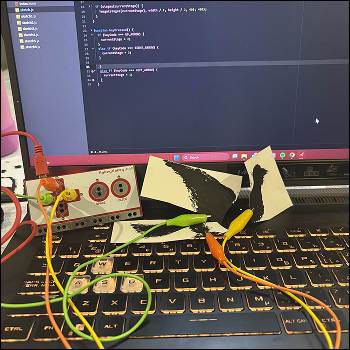 Bird diagram setup